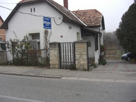 Gr�sz B�la Balatonf�red